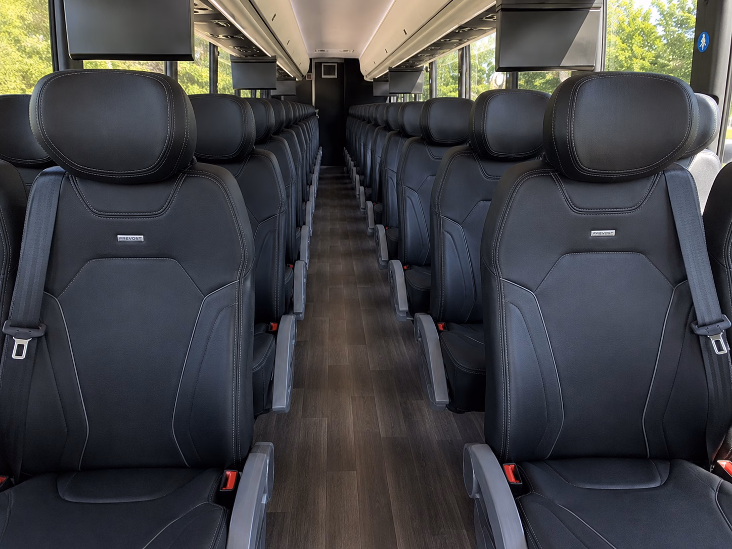 bringing your class to the detroit zoo is simple with the right bus